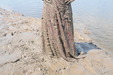 view details of set gm-4m008, In a gorgeous red formal gown, Miss Abigail has her first ever mudbath!