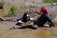 view details of set gm-4m053, Honeysuckle and Charity take to the mudbanks